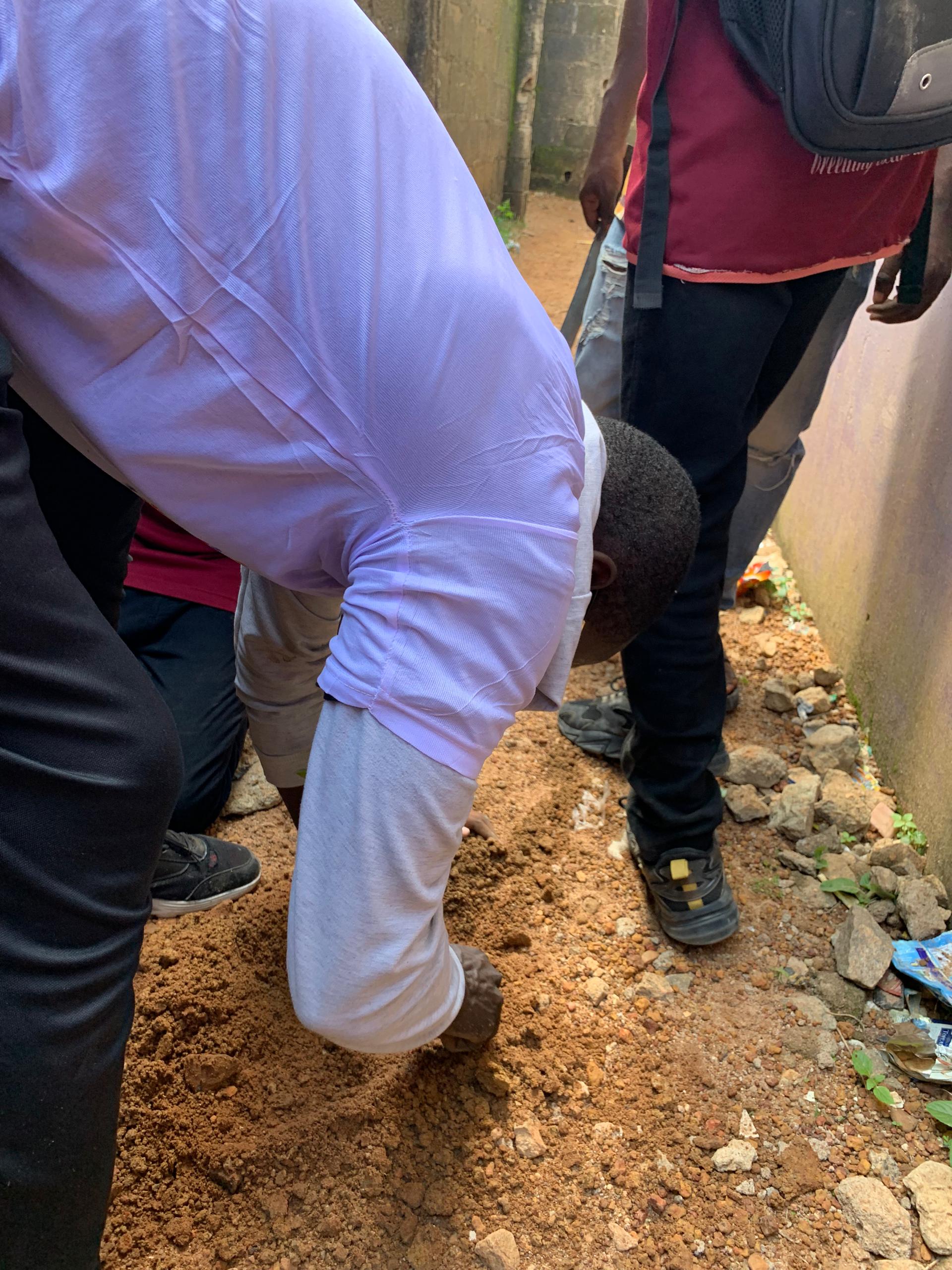 Green Glow Up Africa — Climate Resilience Education & Tree Planting Gallery